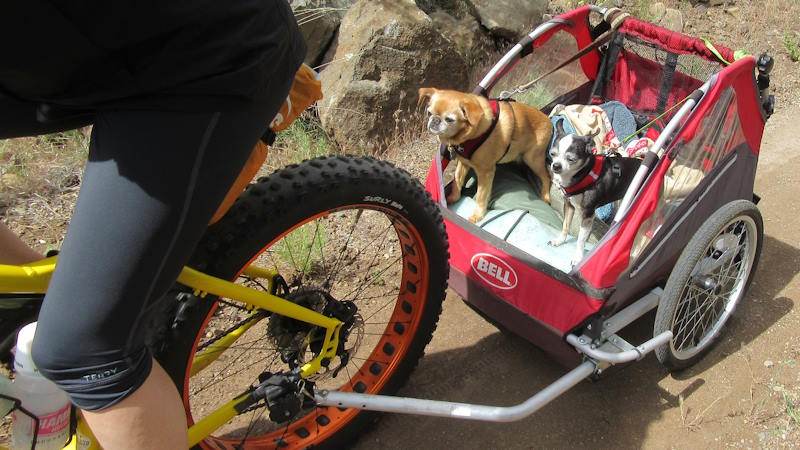 carro perro bici